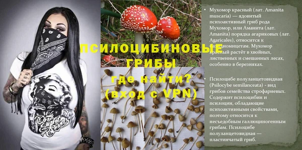 СК Сафоново