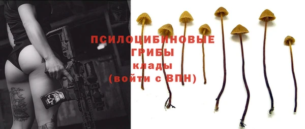 MESCALINE Богданович