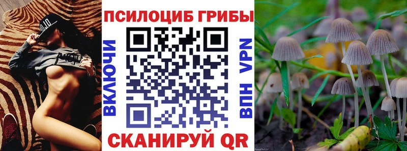 Галлюциногенные грибы Cubensis  Тулун 